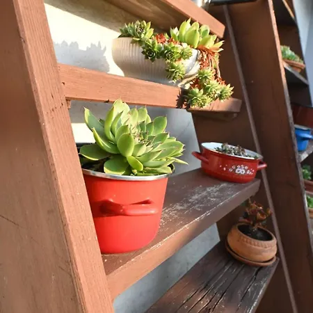 Retreat Apartamento